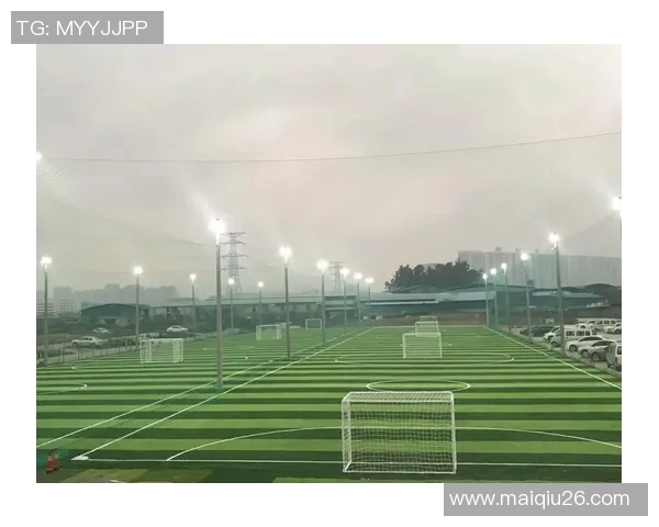 实时新闻刘娜独家解析足球技巧与战术分享助你提升球场表现